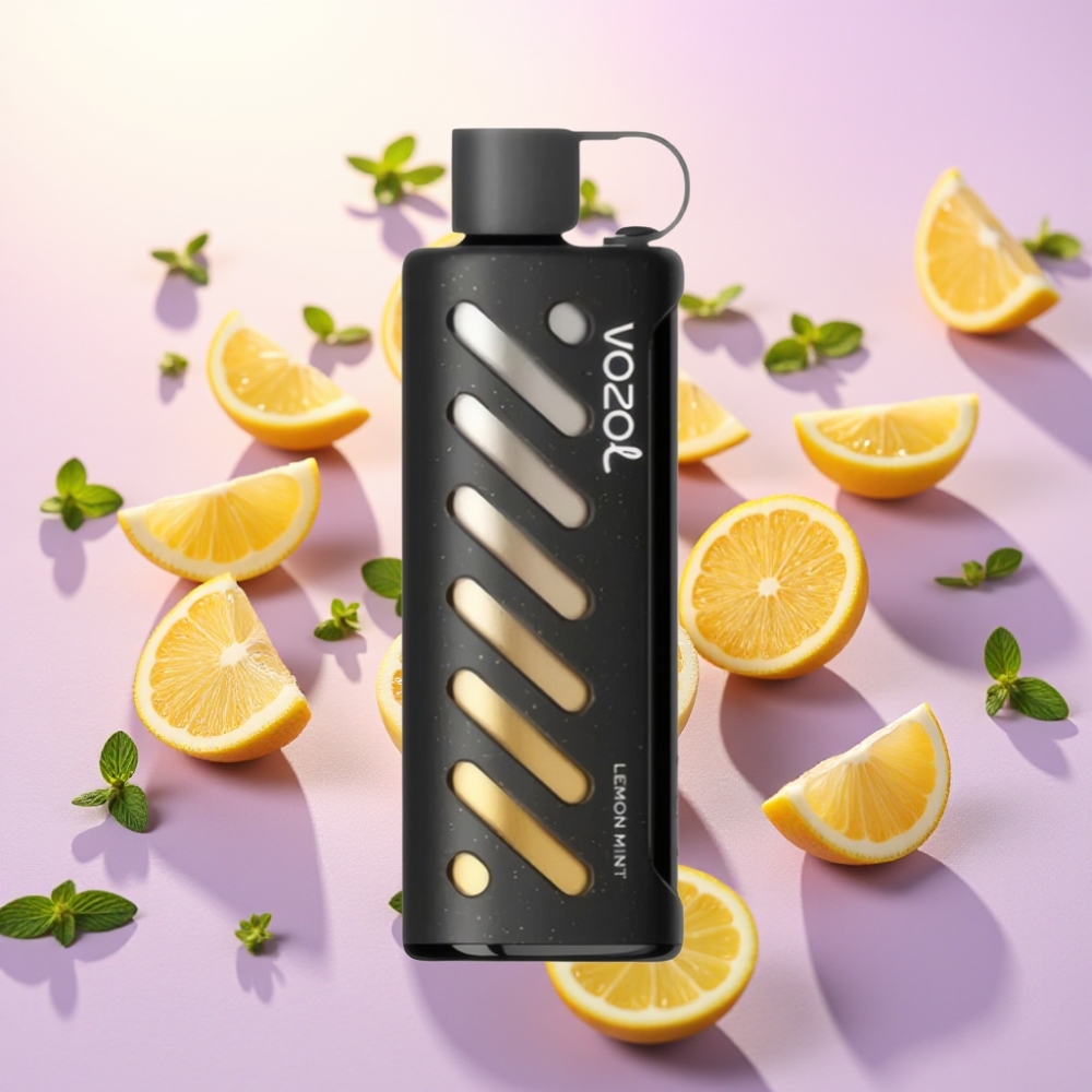 VOZOL Gear Shisha 25000 Puffs לימון נענע – 5mg/ml, 1000mAh, Dual Mesh