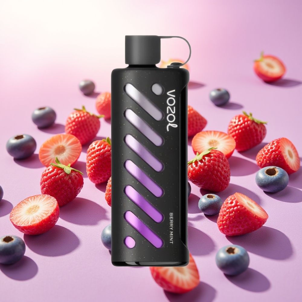 VOZOL Gear Shisha 25000 Puffs מתח כפול בטעם מנטה פירות יער