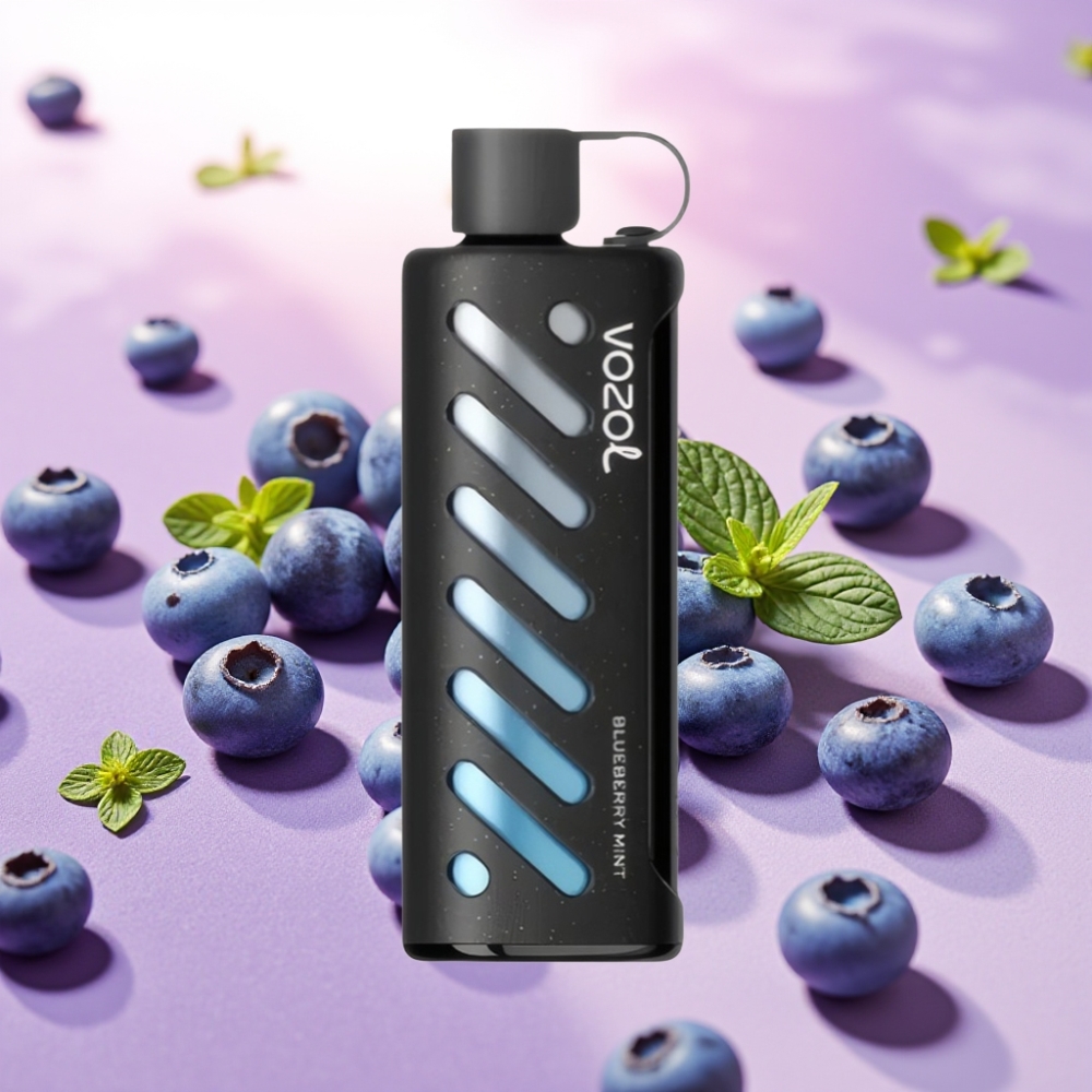 VOZOL Gear Shisha 25000 Puffs מנתבל דואלי S.i.L.C Tech בטעם מנטה אוכמניות