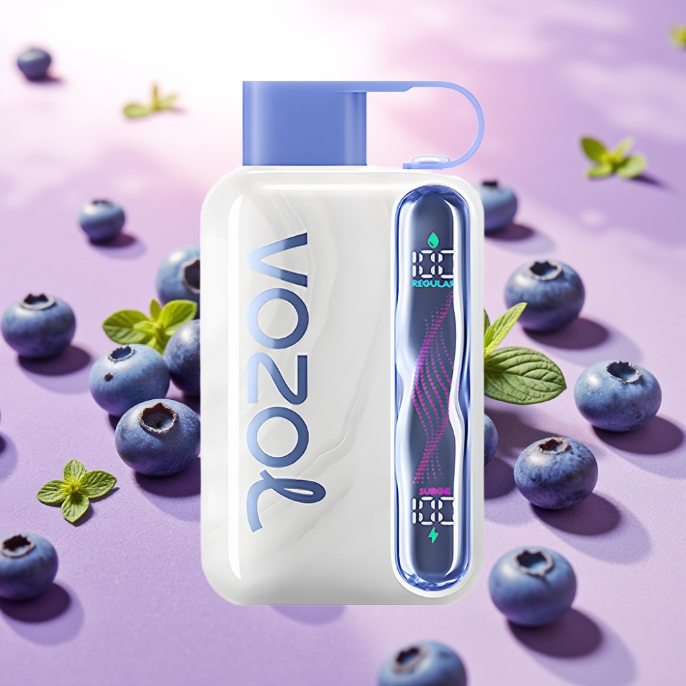 VOZOL STAR 40000 Disposable Vape – אוכמנית מנטה (1000mAh, Type-C)