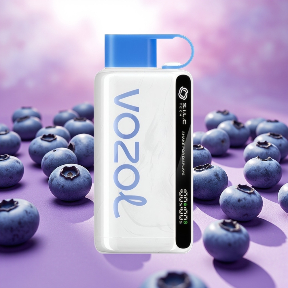VOZOL STAR 9000/12000 מעטפת הגנה, טעון מהיר 30%, טעם סערת אוכמניות